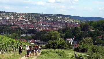 Gruppe wandert auf Weinbergpfad mit Stadtblick.