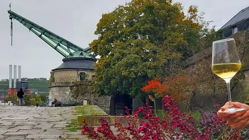 Hand hält Weinglas nahe Kran und Baum.