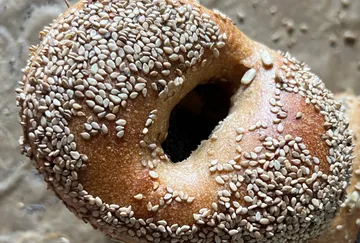 Sesam-bedeckter Bagel auf Backblech.