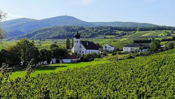 Kirche umgeben von Weinberg und Hügeln.