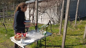 Mann deckt Tisch im Freien bei Weinberg.