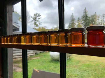 Jars with different types of honey are placed on a shelf.