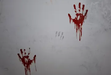 Rote Handabdrücke tropfen auf weißer Wand.