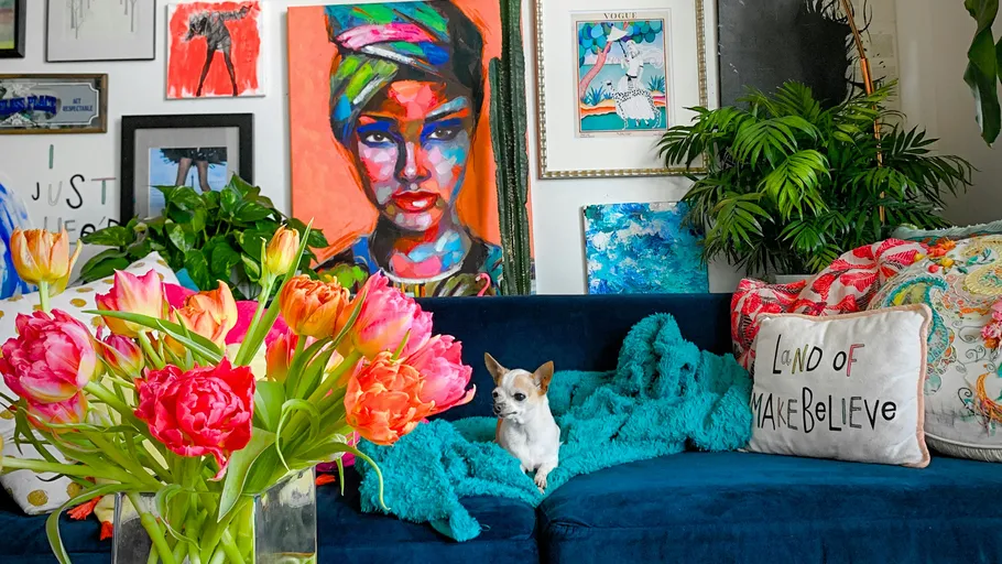 Dog on couch surrounded by colorful decor.
