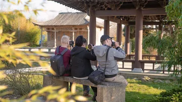 Drei Personen fotografieren im asiatischen Garten.