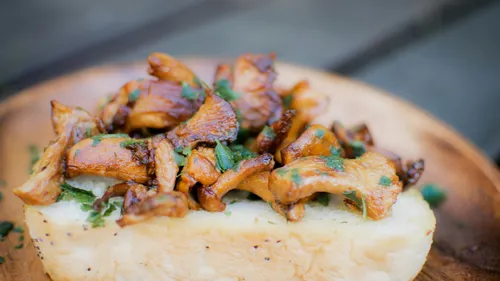Chanterelle mushrooms on bread with parsley garnish.