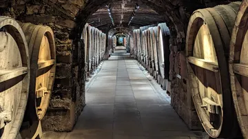 Large barrels in underground stone cellar.