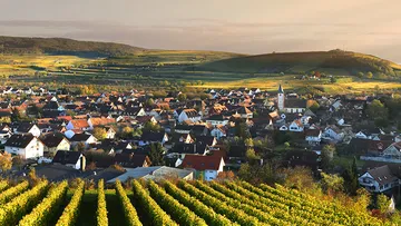 Town with vineyards and hills at sunset.