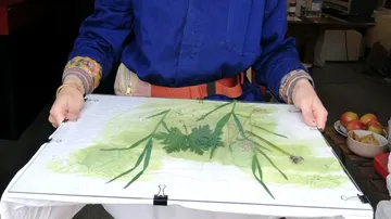 Person holding glass with pressed plants inside.