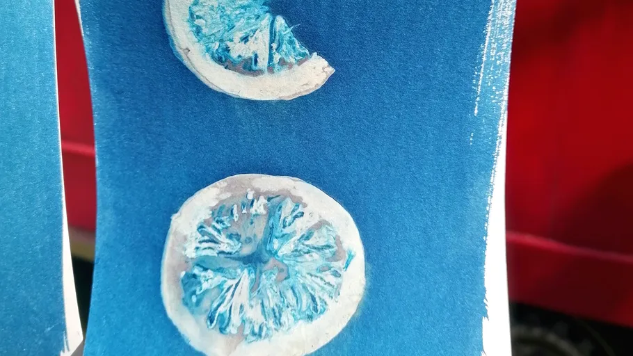 Two painted citrus slices on blue background.