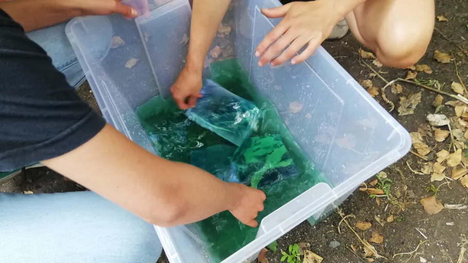 Hands placing plants in a plastic container.