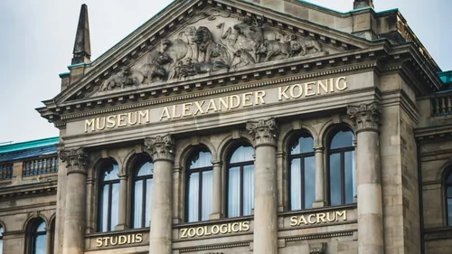 Museum facade with classical columns, intricate carvings.
