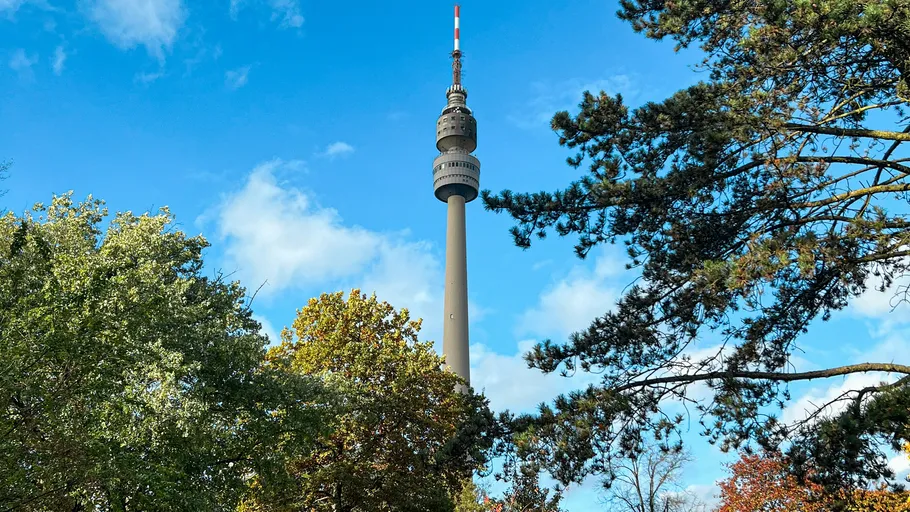 Tall tower rising above green trees.