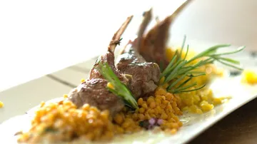 Grilled lamb on lentils with herbs, plate.
