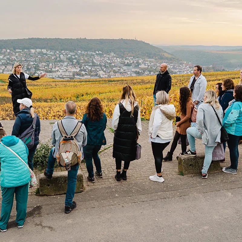 Wein Tour in Rüdesheim