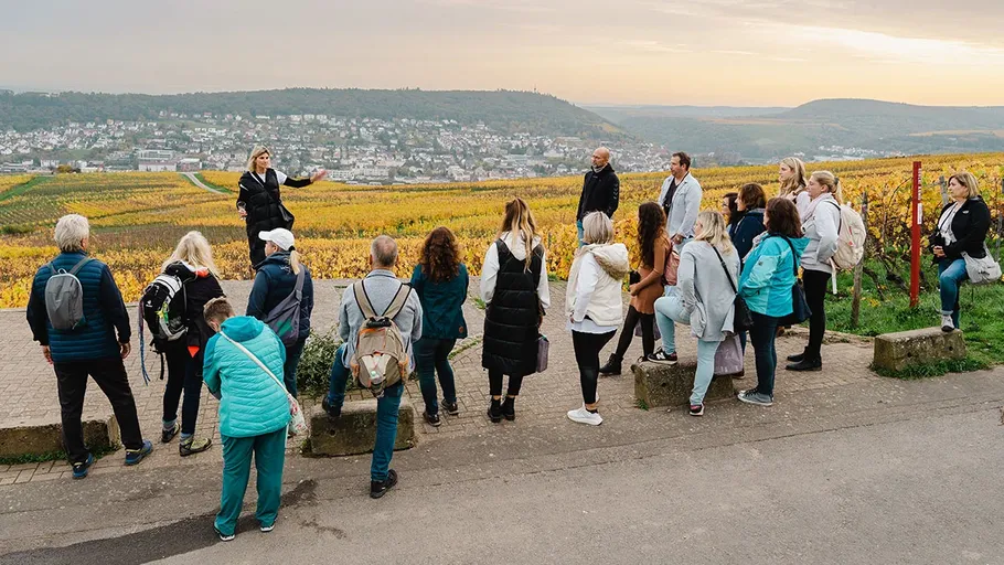 Tour group listening to a guide in vineyard.