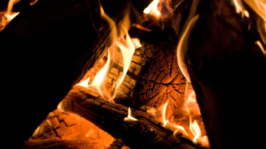 Burning logs with bright orange flames.