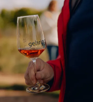 Hand hält Weinglas im Freien im Weinberg.