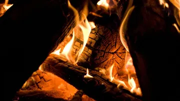 Burning wood logs with bright flames.