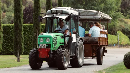 Tractor pulling wagon with passengers in vineyard.