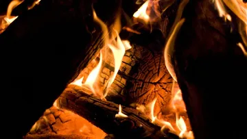 Burning logs with orange flames, surrounded by darkness.
