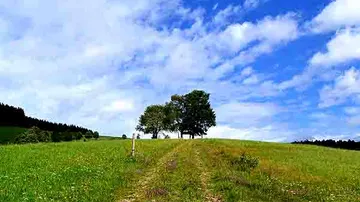 Trees on hill under blue sky.