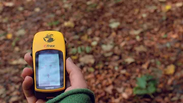 Hand holding GPS device in forest.