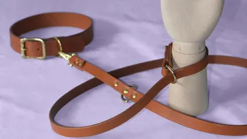 Brown dog collar and leash are placed around a wooden base.
