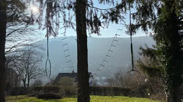 Seile und Leitern hängen zwischen hohen Bäumen.