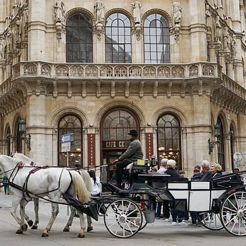 Stadtführung in Wien: Highlights der Innenstadt erleben