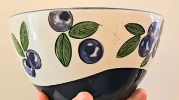 Hand hält Schüssel mit Blaubeermuster.