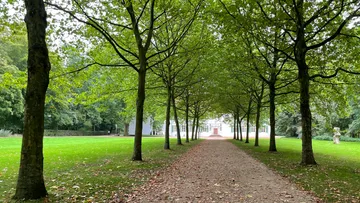 Baumgesäumter Weg zu weißem Gebäude.