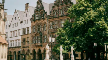 Historic German buildings, trees, and umbrellas.