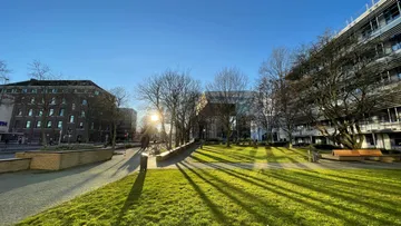 Sunlit park with trees beside modern buildings.