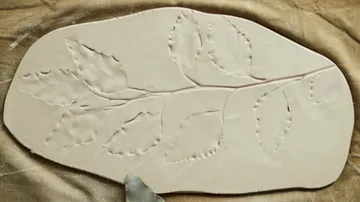 Tonplatte mit Blatteindrücken auf Stoff.