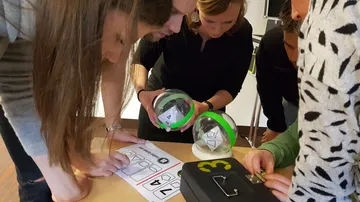 Personen lösen ein Rätsel mit nummerierten Kugeln.