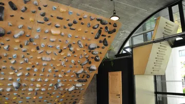 Kletterwand mit Griffen in industriellem Raum.