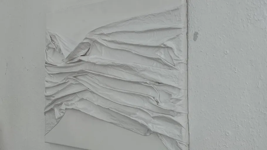 White textured sculpture on a wall.