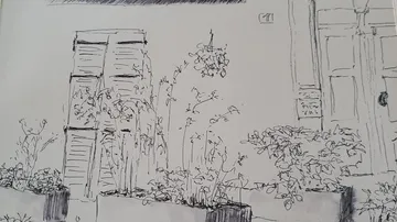Skizze eines Fensters mit Pflanzen in Töpfen.