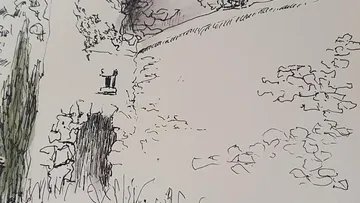 Sketch of stone wall and plants