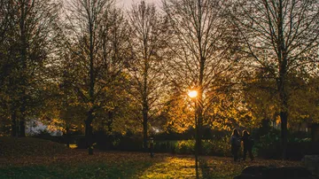 Two people walking among trees at sunset.