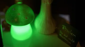 Leuchtende grüne Pilzlampe in dunklem Raum.
