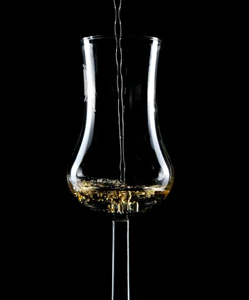 Glas wird mit Flüssigkeit vor schwarzem Hintergrund gefüllt.