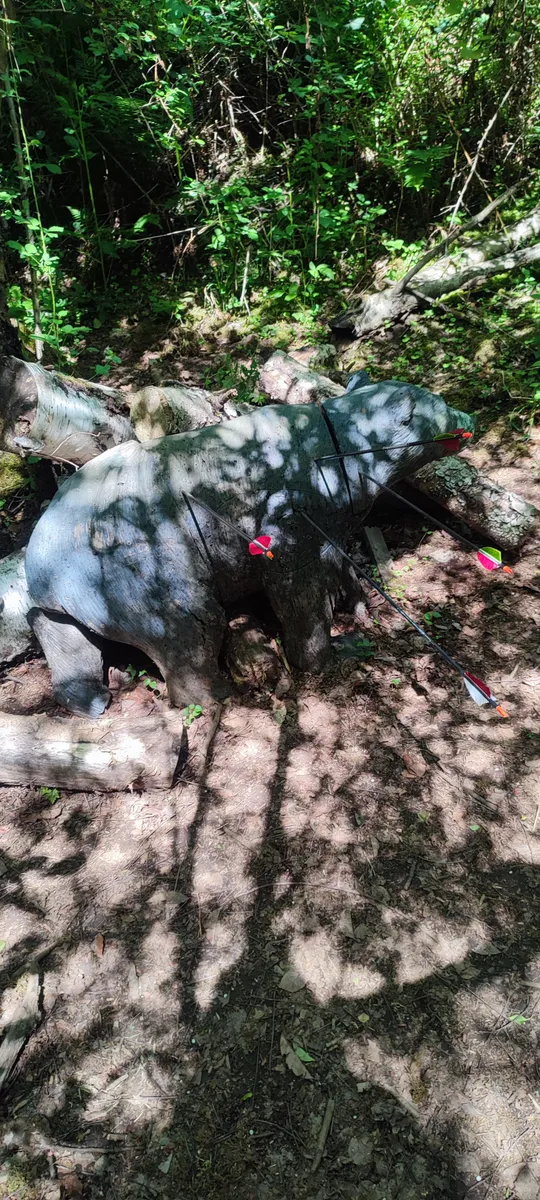 Foam bear target with arrows in forest.
