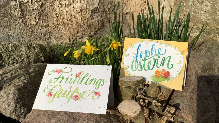 Cards with flowers on stones, sunlight.