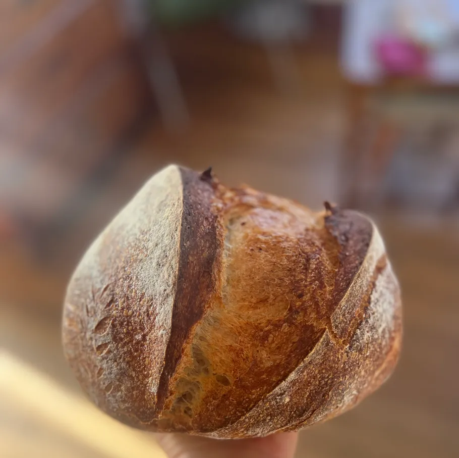 Sourdough bread held in a kitchen.