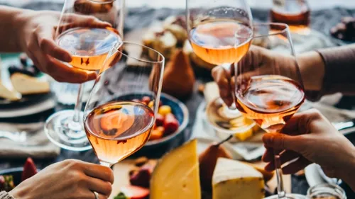 People toasting with wine glasses at table.