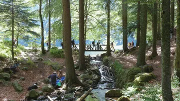 Menschen gehen auf Brücke im Wald.