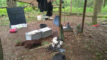 Waldlager mit Ausrüstung und Unterstand.