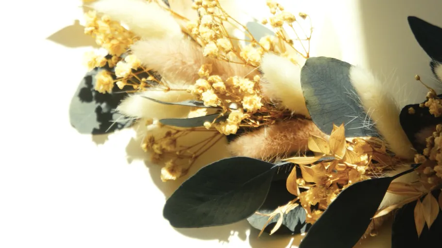 Getrocknete Blumen und Blätter im Sonnenlicht.